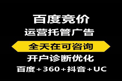 搜索引擎营销（SEM）成功案例详解